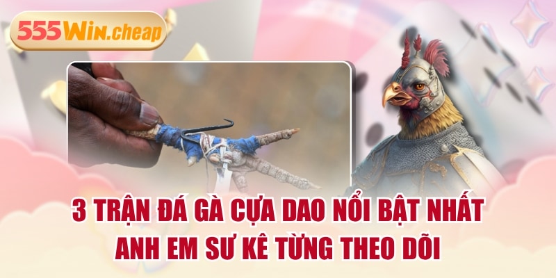 3 Trận Đá Gà Cựa Dao Nổi Bật Nhất Anh Em Sư Kê Từng Theo Dõi