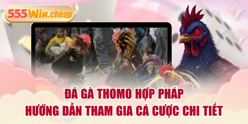 Đá Gà Thomo Hợp Pháp - Hướng Dẫn Tham Gia Cá Cược Chi Tiết